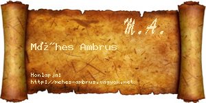 Méhes Ambrus névjegykártya